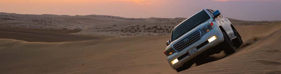 Doha: Thrilling 4x4 Desert Safari, Inland Sea-All Activities - Who should book this desert outing?