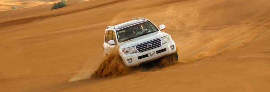 Doha: Thrilling 4x4 Desert Safari, Inland Sea-All Activities - Meeting camels before the rough stuff