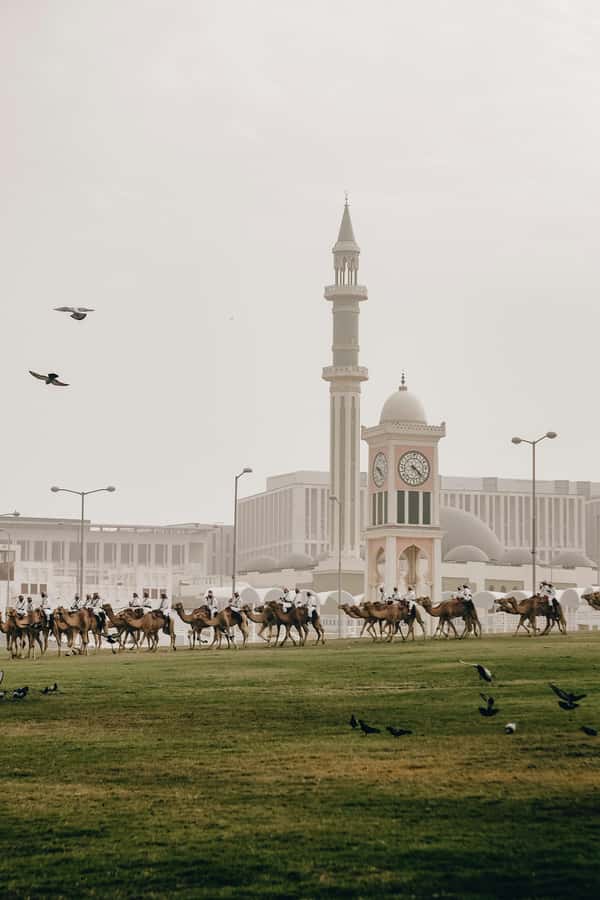 Doha: Visit Cornishe, Pearl, Souq Waqif, Katara, Museum - Katara Cultural Village in 40 minutes