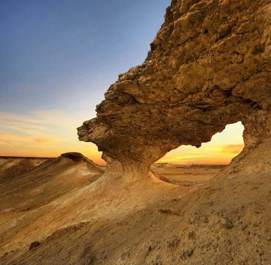 Doha: West Coast Qatar Tour, Sculptures, Camel Racing track - Key points to know before booking