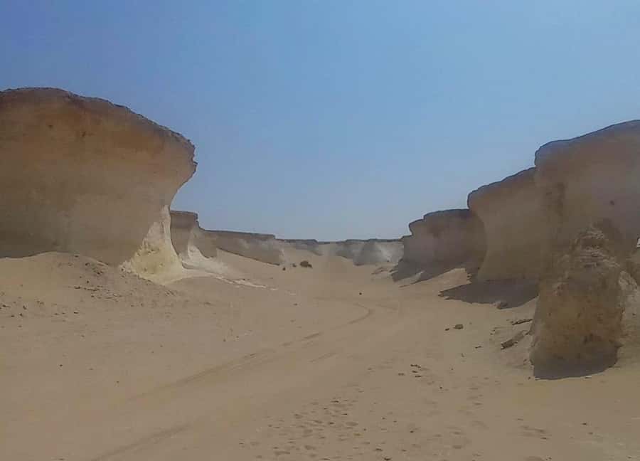 Doha: West Coast Qatar Tour, Sculptures, Camel Racing track - The long return through the desert