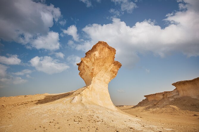 Doha : West Coast Tour on Zekreet Peninsula - What the guides add to the outing