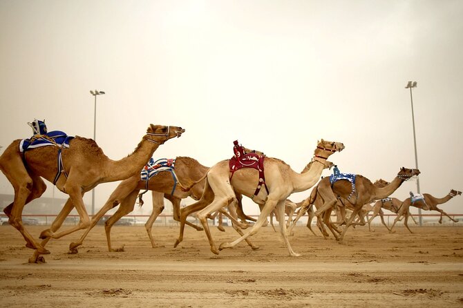 Doha : West Coast Tour on Zekreet Peninsula - Cancellation and booking flexibility