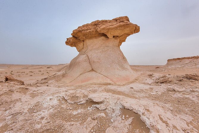 Doha : West Coast Tour on Zekreet Peninsula - Al Shahaniya and Qatar’s camel-racing tradition