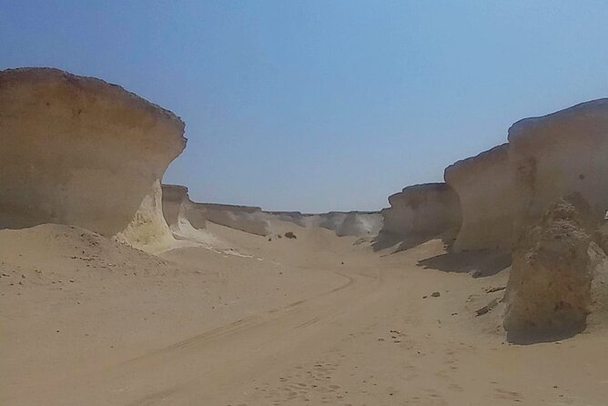 Doha: West Coast Tour , Richard Serra Sculpture, Zekreet - Who should book this west coast outing?