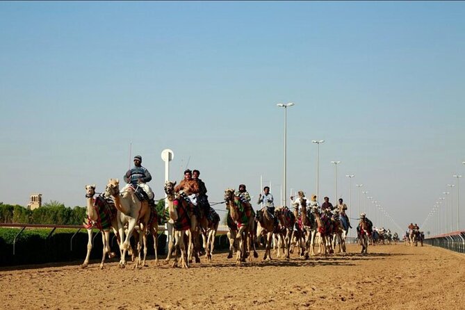 Doha: West Coast Tour Sculpture,Camel Racing Track Rock Formation - Watching camel training at Ash-Shahaniyah