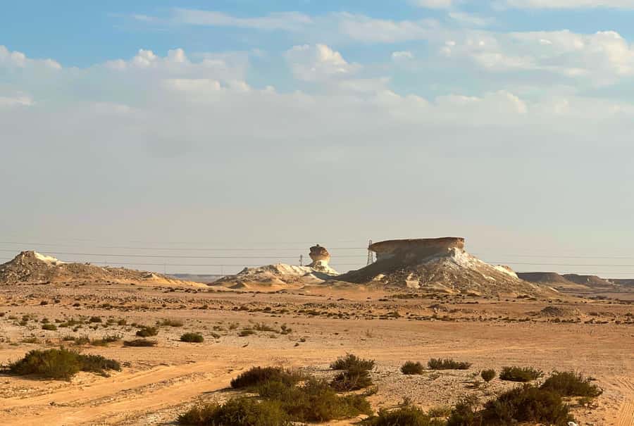 Doha: West Qatar Guided Journey With Pickup & Drop-Off - Al-Shahaniya Camel Racetrack