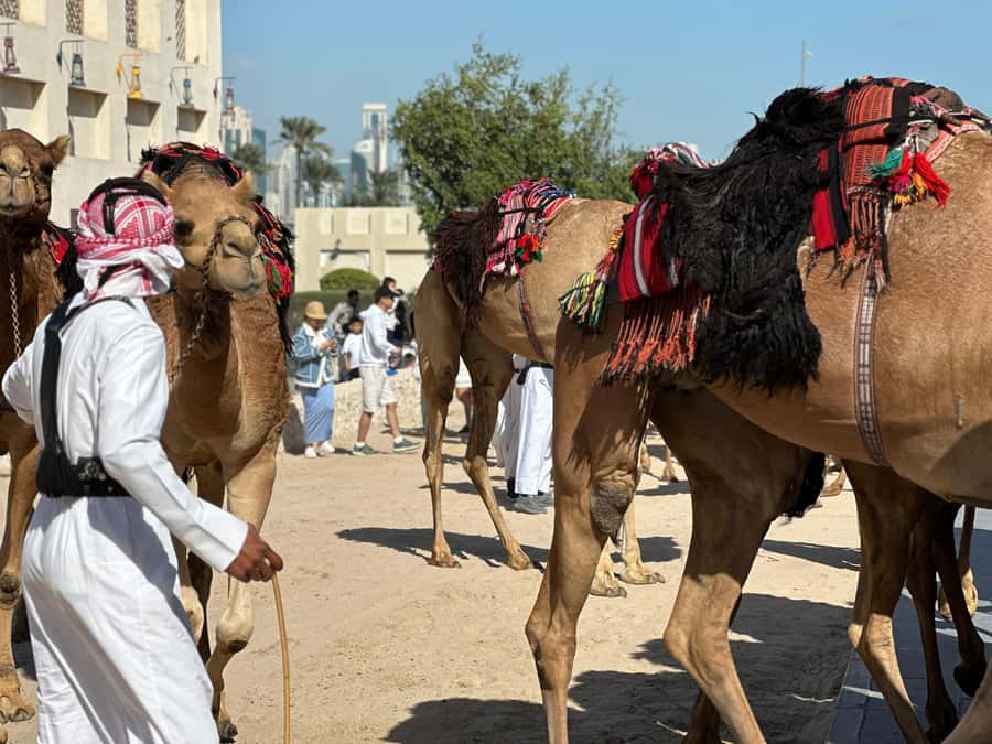 Doha: West Qatar Guided Journey With Pickup & Drop-Off - Guides Make the Difference