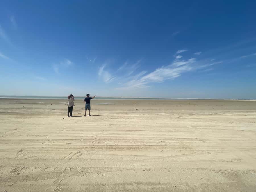 Doha: West Qatar Guided Journey With Pickup & Drop-Off - Who Will Enjoy This Tour Most