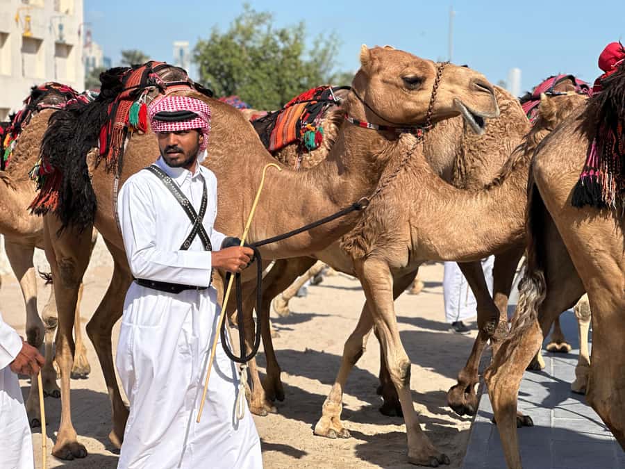 Doha: West Qatar Guided Journey With Pickup & Drop-Off - The 40-Minute Ride to Al-Shahaniya