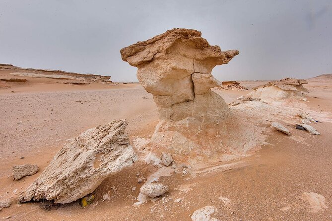 Doha West Qatar Richard Serra Sculpture, Mushroom Rock Tour - What the private vehicle adds
