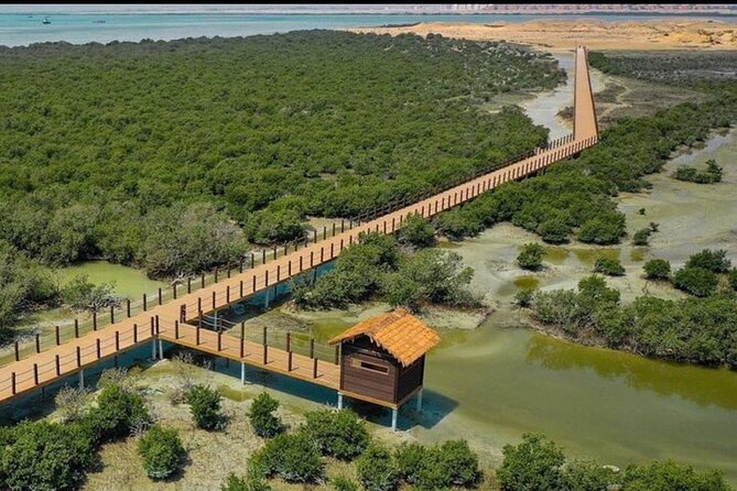 Doha Zubara Fort, Purple Island and Mangrove Exploration - Why leave Doha for northern Qatar?