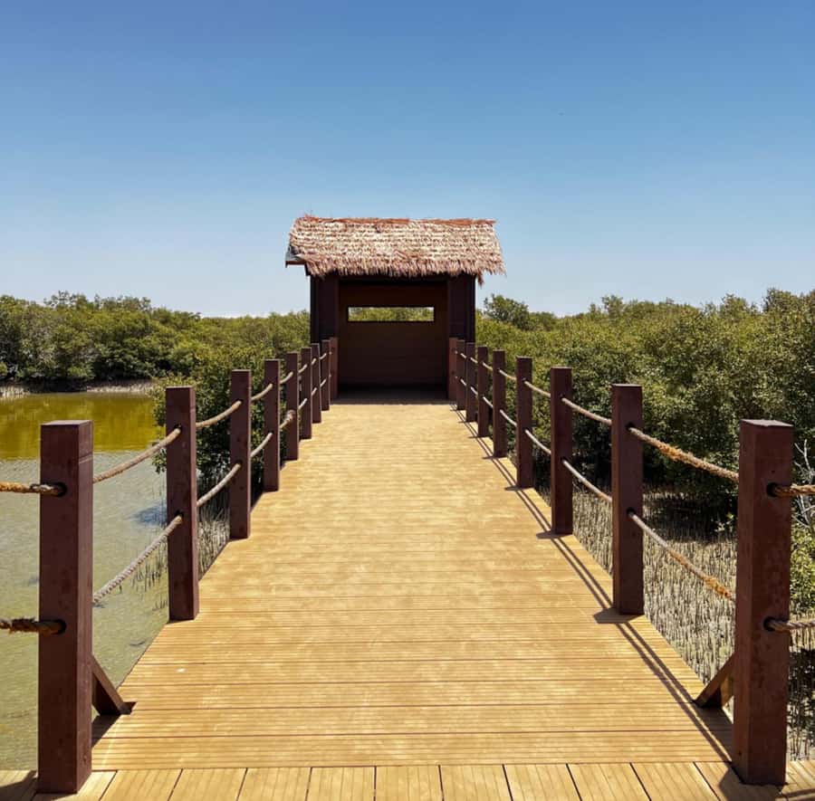 Doha: Zubara UNESCO Site, Mangroves & Jumail Village - Leaving Doha for the northern coast