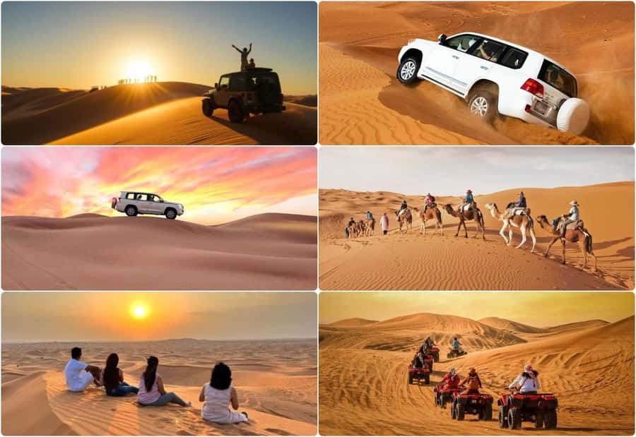 Dune Bashing &Beyond The Ultimate Desert Safari From Doha - Sealine Beach Resort and the meeting of sand and sea