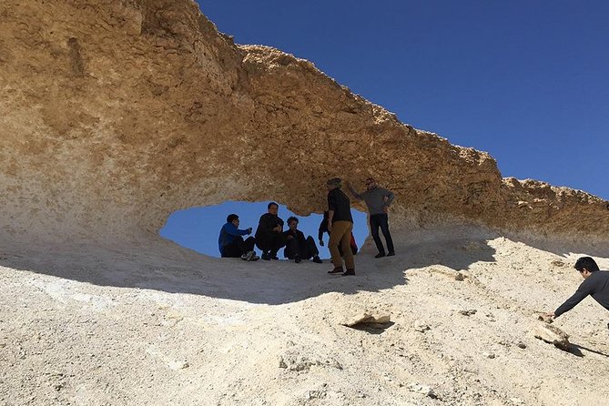 East-West/West-East - By Richard Serra - Who should book this Qatar art tour?