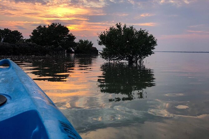 Eco Kayaking Adventure – Mangrove Exploration at Purple Island - Key points before you book