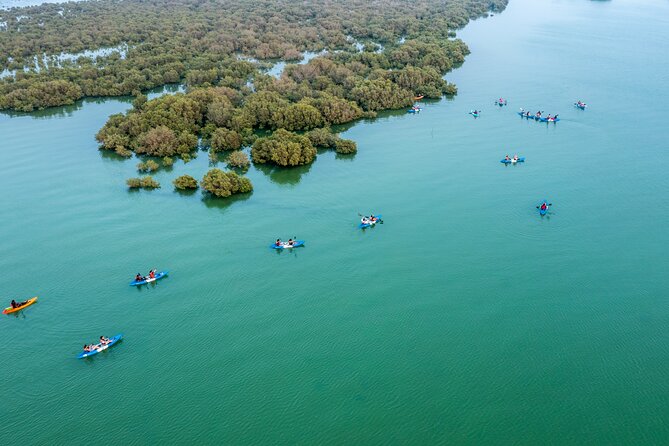 Eco Kayaking Adventure – Mangrove Exploration at Purple Island - What the $75 price really buys