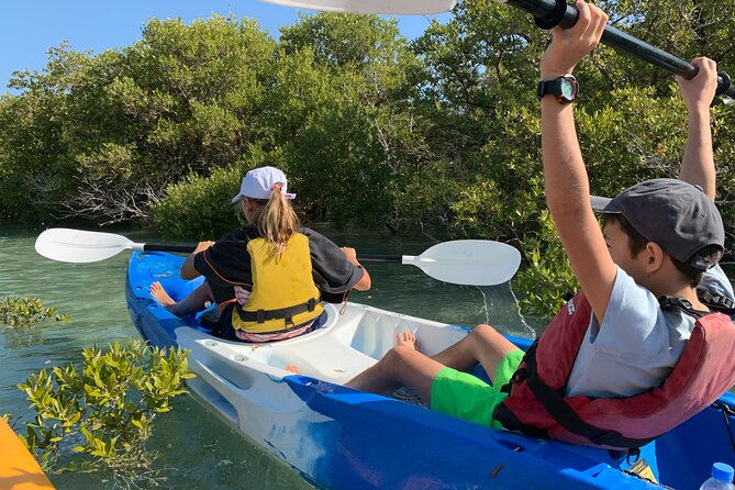 Eco Kayaking Adventure – Mangrove Exploration at Purple Island - Should you book AquaSports Qatar?