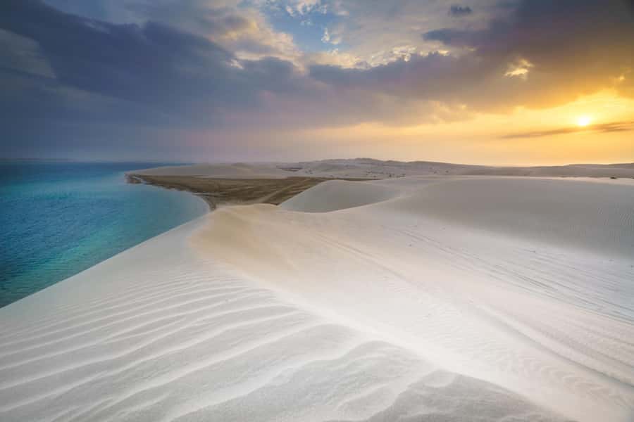 Explore desert Qatar: Off-Road Adventures, dune bashing Tour - Who Should Book This Experience?