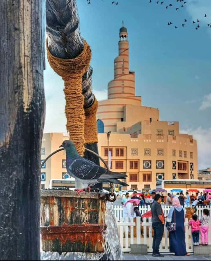 "Explore Doha: 4-Hour City Highlights Tour." - The State Grand Mosque and a schedule worth checking