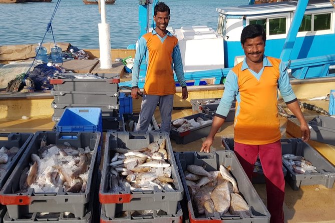 Explore North of Qatar: Visit Zubarah Fort and Fishing Town of Al Khor - Who will enjoy this four-hour outing