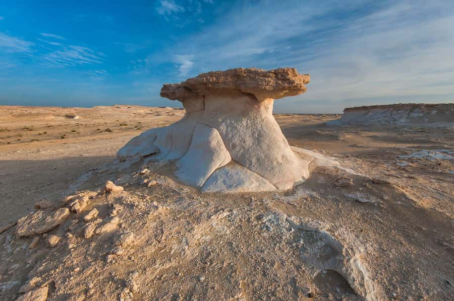 Explore West Qatar and Sheehaniya Camel racetrack visit. - Key points before you book