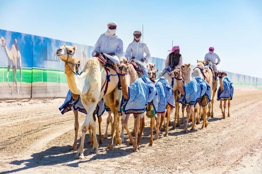 Explore West Qatar and Sheehaniya Camel racetrack visit. - Why this western Qatar trip is worth your time
