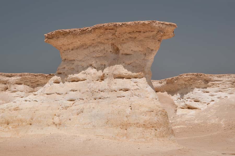 Explore West Qatar and Sheehaniya Camel racetrack visit. - Seeing Al Shahaniya Camel Racetrack