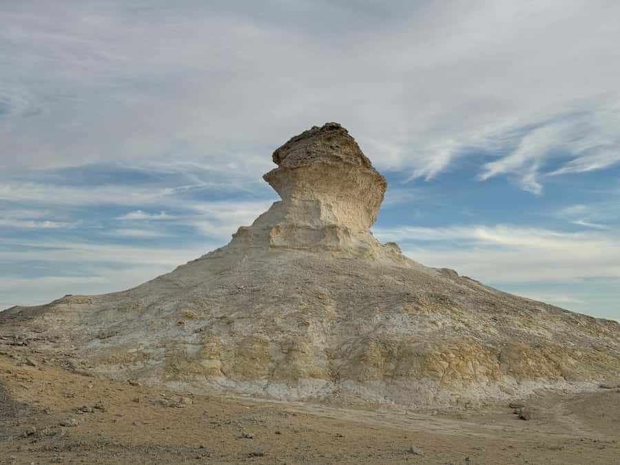 Explore West Qatar and Sheehaniya Camel racetrack visit. - Who should book this western Qatar experience
