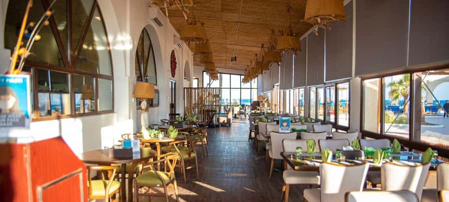 From Doha: 8-hour Safari Tour with Desert Beach Experience - Meal, drinks, and the value of a slow afternoon
