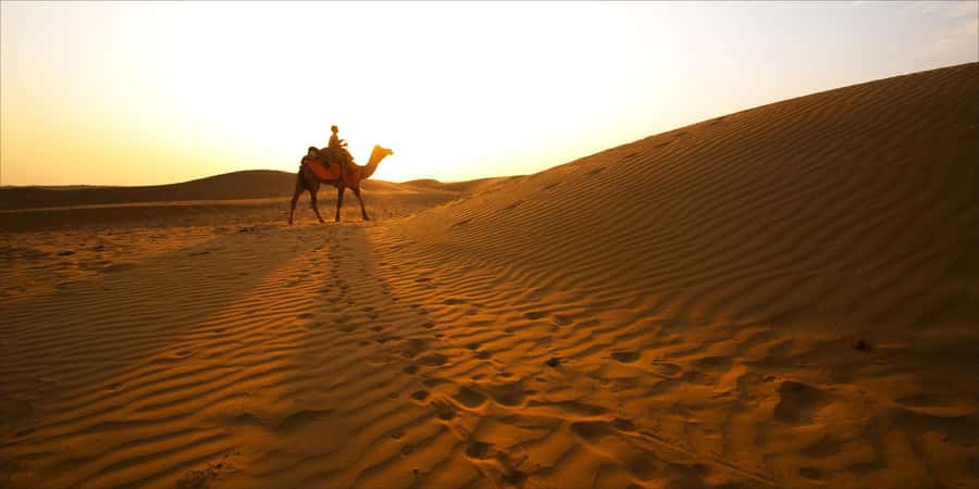 From Doha: 8-hour Safari Tour with Desert Beach Experience - The 90-minute dune drive