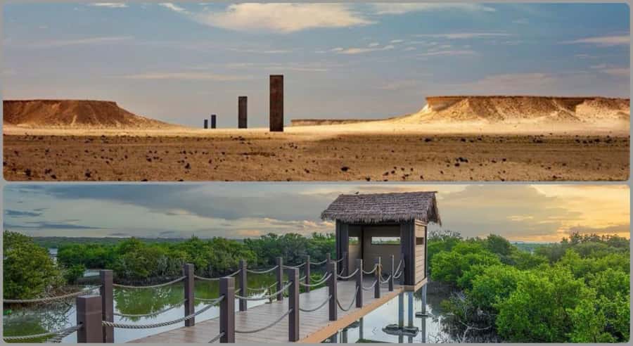 From Doha: Culture & History Qatar Tour to the North & West - Purple Island offers the first change of pace