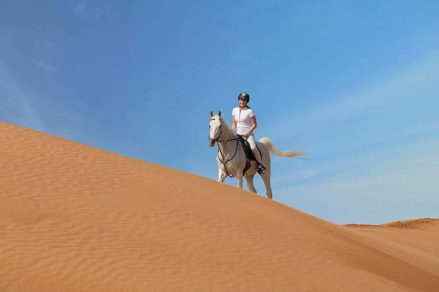 From Doha: Experience Horse Riding In Qatar Desert - Leaving Doha for Qatar’s open desert