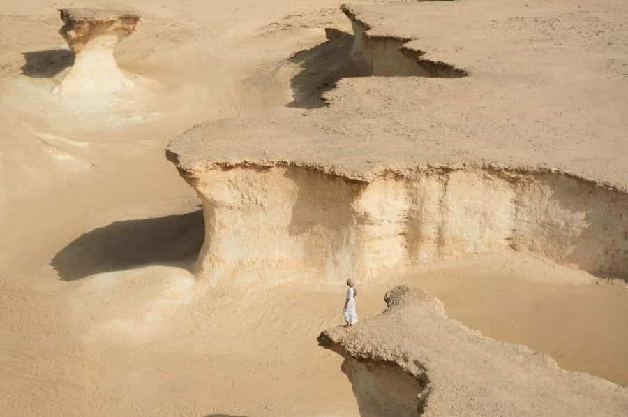 From Doha: Full-Day Tour to Qatar North and West - Al Zubarah Fort, Qatar’s UNESCO site