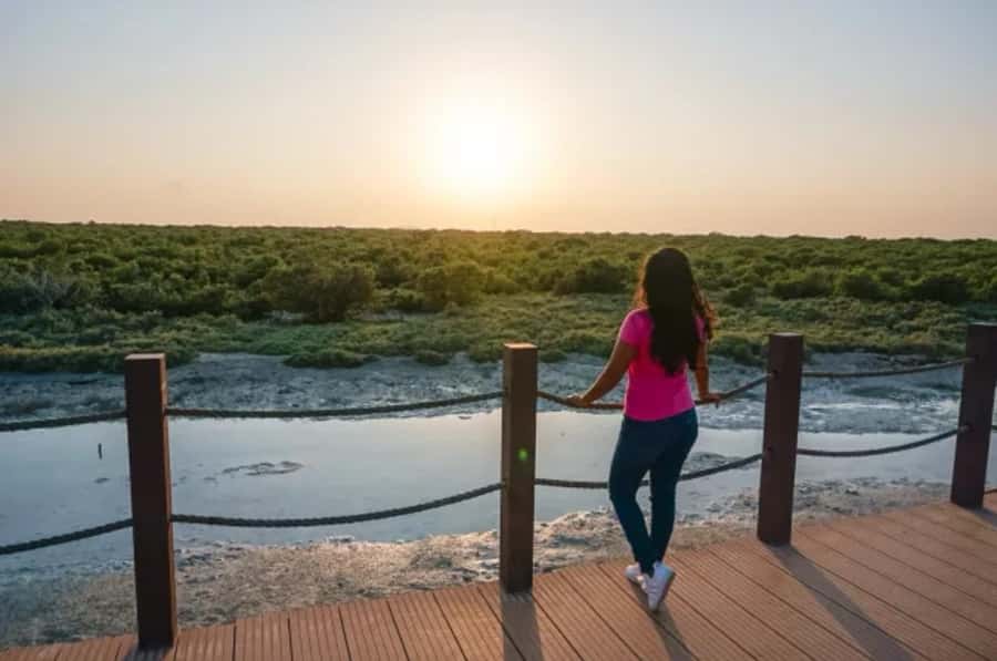 From Doha: Full-Day Tour to Qatar North and West - Zekreet Peninsula and the umbrella-shaped rock