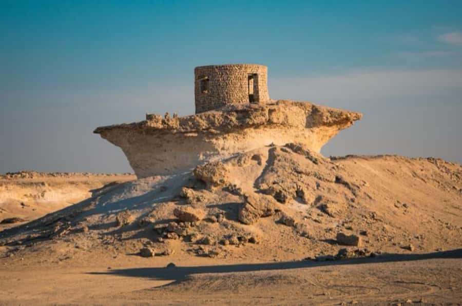 From Doha: Full-Day Tour to Qatar North and West - Transport, timing, and the food question