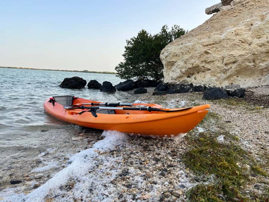 From Doha: Mangroves Kayaking Adventure - Why Al Thakira is worth leaving Doha for