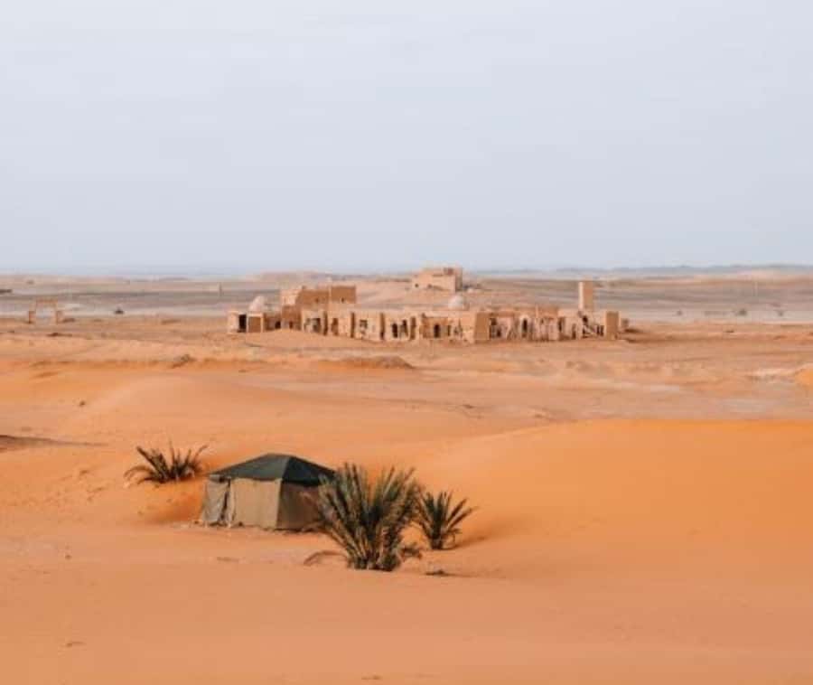 From Doha: Northern Qatar Guided Tour - Coastal villages where daily life continues