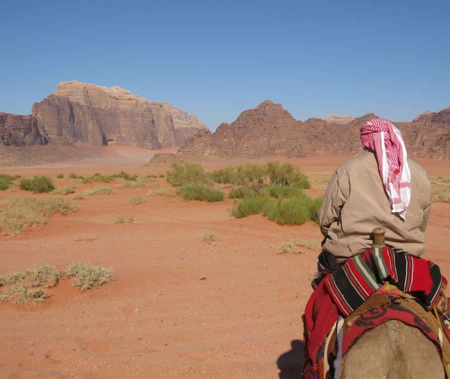 From Doha: Northern Qatar Guided Tour - The guides can shape the experience