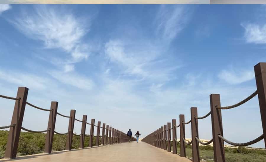 From Doha: Private Al Jassasiya, Zubarah & Purple Island. - Purple Island’s bridges, mangroves, and quiet coast