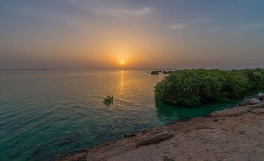 From Doha: Private Al Jassasiya, Zubarah & Purple Island. - Al Zubarah Fort and Qatar’s trading past