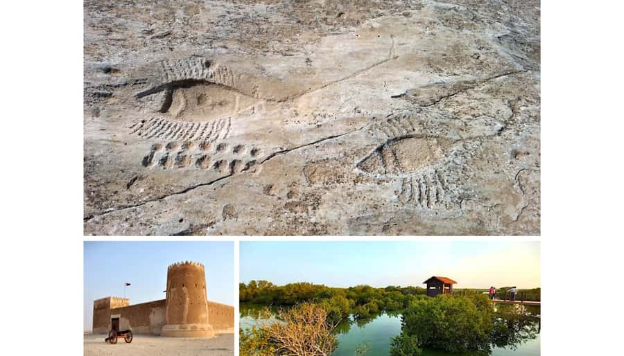 From Doha: Private Al Jassasiya, Zubarah & Purple Island. - Al Jassasiya and Qatar’s outdoor rock art