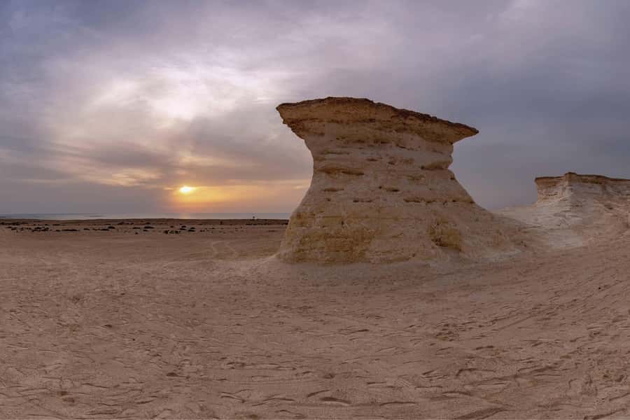 From Doha: Private West Coast and Camel Race Track Tour - Why this west coast tour is worth your time