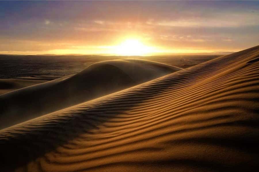 From Doha: Sunrise or Sunset Safari with Sand Boarding - Key points at a glance