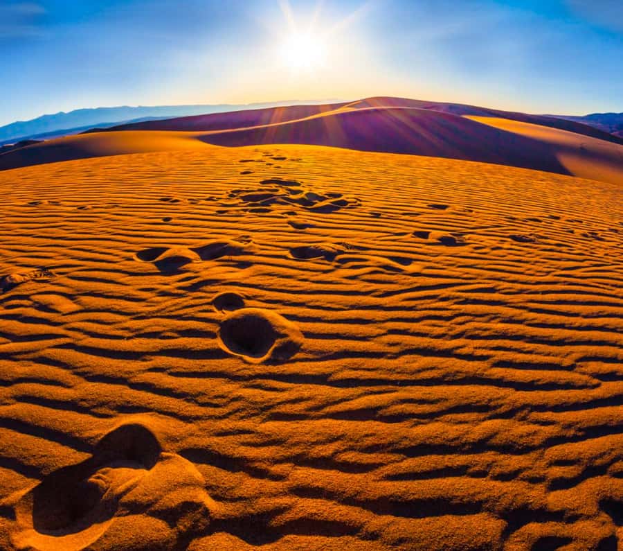 From Doha: Sunrise or Sunset Safari with Sand Boarding - Sandboarding on Qatar’s broad dunes