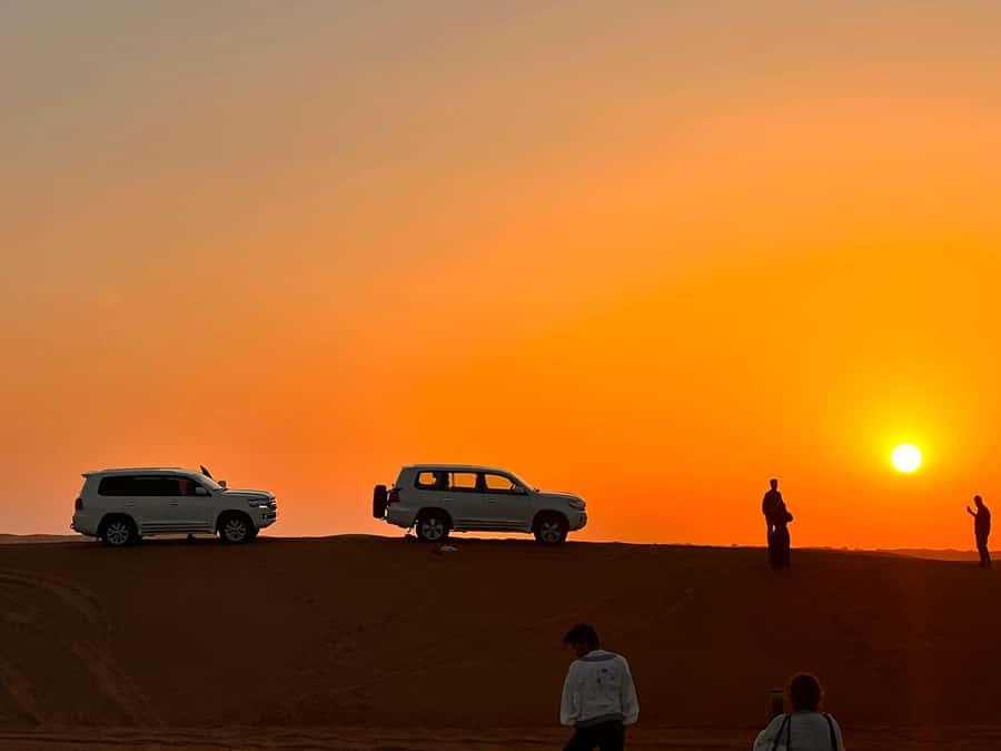 From Doha: Sunrise or Sunset Safari with Sand Boarding - Who will enjoy this desert safari most?