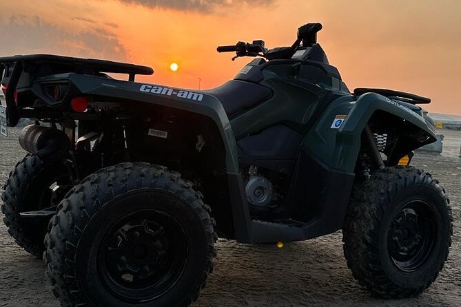 Full Day Desert Safari Doha/dinner included - Dune bashing with an experienced driver