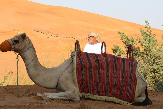 Full Day Desert Safari with Camp Access, Buffet Dinner,Camel Ride - Timing, comfort, and who will enjoy it