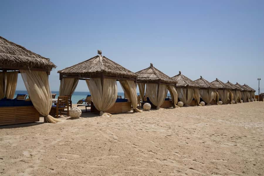 Full day desert safari with lunch or Dinner - Lunch or dinner: which version fits you?