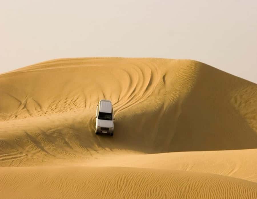 Full day desert safari with lunch or Dinner - The guide can shape the whole day